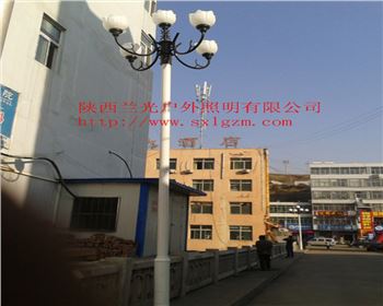 中華燈-陜北道路照明項目